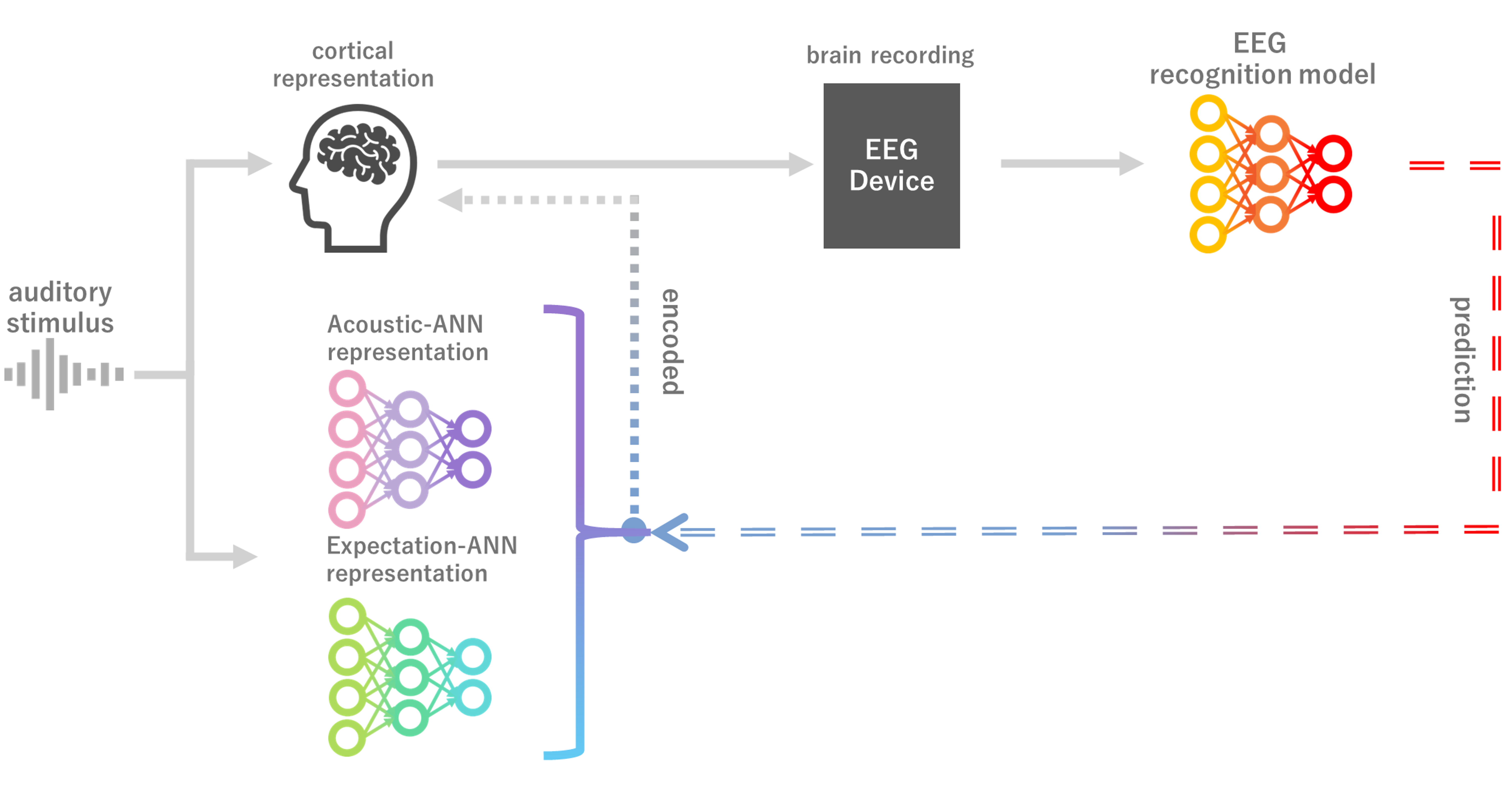 Conceptual diagram showing cortical representation, EEG recording, and EEG recognition modeling
