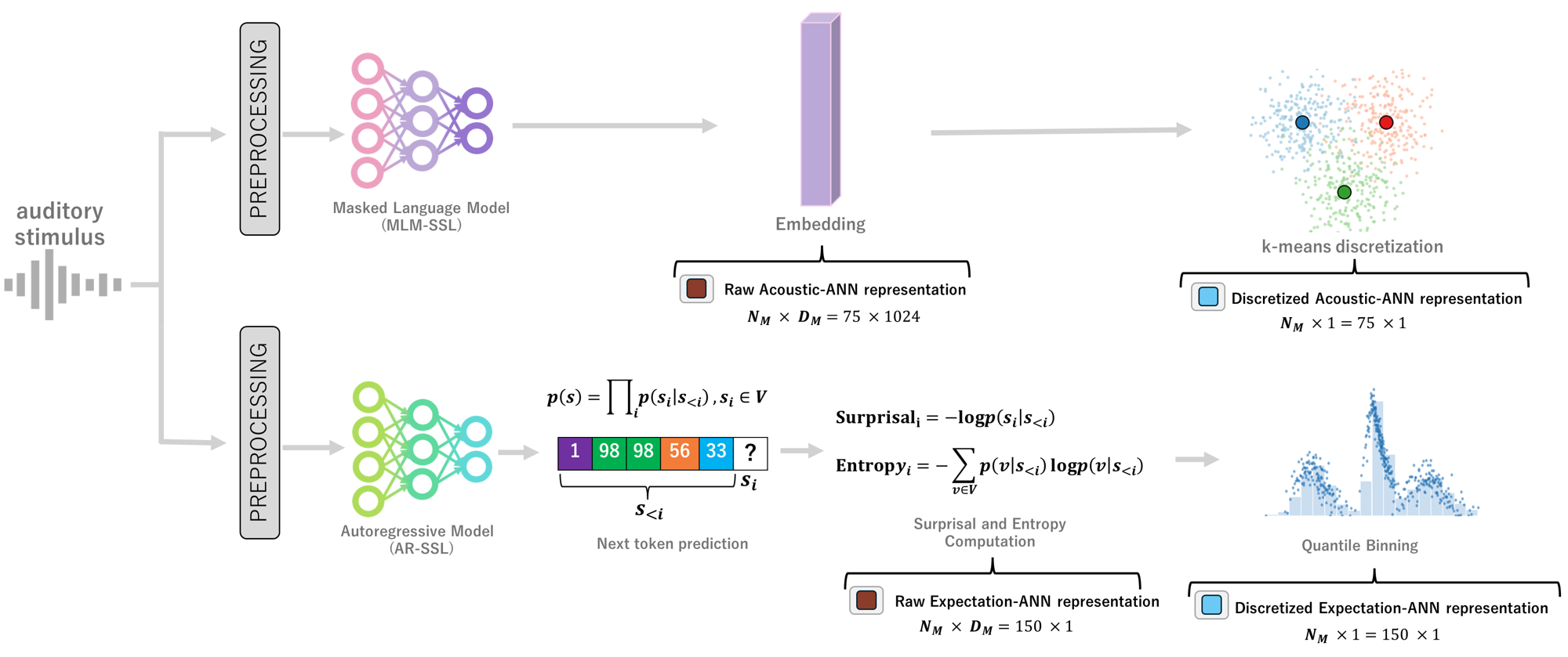 Diagram showing acoustic and expectation-related ANN representations computed from auditory stimuli